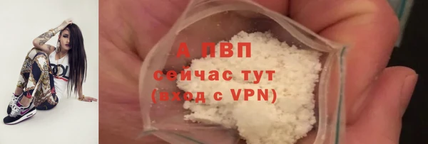 спиды Белокуриха