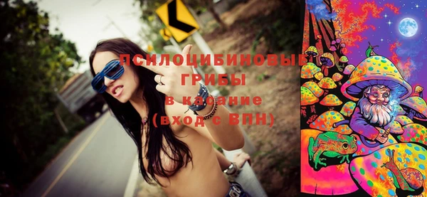 спиды Белокуриха